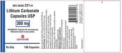 Lbl300mg100s