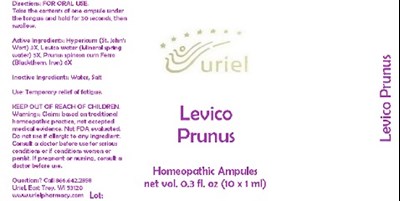 Levicoprunusampules
