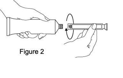 Figure 2 (F2)
