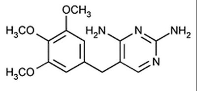 1 (Image 1)