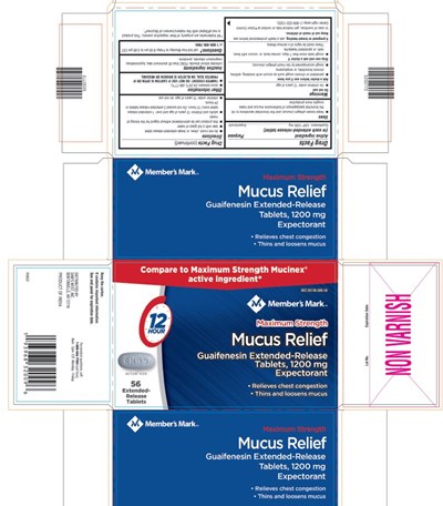 Principal Display Panel (1200 mg Tablet Blister Pack Carton)