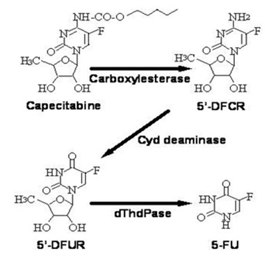 Capecitabine-02 (Capecitabine 02)