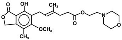 image - f31ceaaa 0c41 499d beb2 f5e2d90cd7ec 01