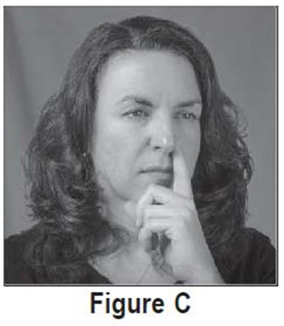 figc - sumatriptan nasal spray usp 6