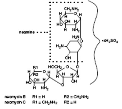 Neomycin Sulfate (structural Formula) (6541631a 6c77 44fc B6ac 3b91e42e3065 01)