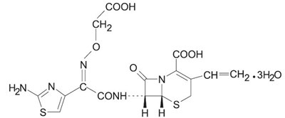 Cefixime Usp (364fe09d 9218 49ee 810a 88c8adb2ccf7 01)