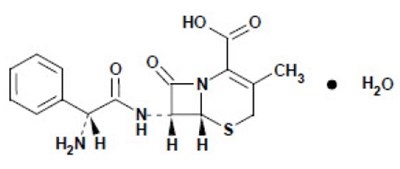 Cephalexin-str.jpg (Cephalexin Str)