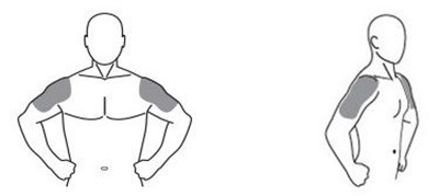 figure-application-sites-ifu.jpg figure-application-sites-instructions-for-use - figure application sites ifu