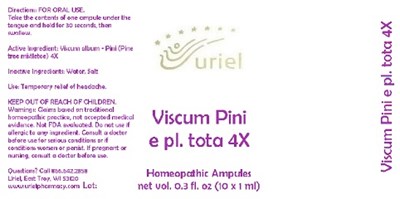 ViscumPiniEPlTota4Ampules