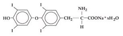 1 (Image 1)