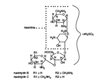 Neomycin Sulfate Chemical Structure - 65b71a14 dcb5 4123 b4c5 033c9e16a22a 01
