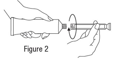 Figure2.jpg (Image 02)