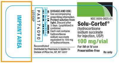 PRINCIPAL DISPLAY PANEL - 100 mg Vial Label - solu cortef 04