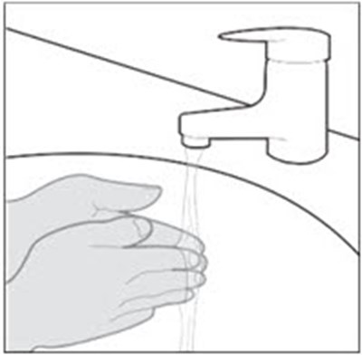 Figure F (Steqeyma 10)