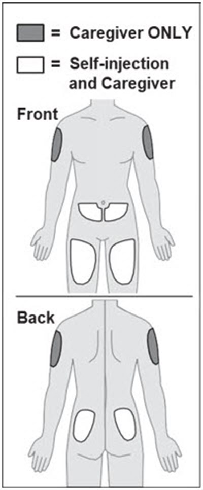 Figure I (Steqeyma 13)