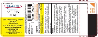 Principal Display Panelndc 10135-0173-62aspirin81mg Low Strength 81 mg Aspirin(nsaid) Enteric Coated1 ¼ Gr. (81 mg) Each Analgesic (Aspirin Usp 81mg Enteric Coated Tablet 01)