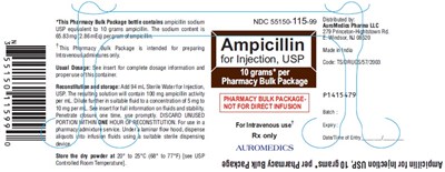 ampicillin-fig1.jpg PACKAGE LABEL-PRINCIPAL DISPLAY PANEL - 10 grams Pharmacy Bulk Package – Container Label - ampicillin fig1