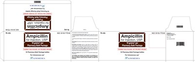 ampicillin-fig2.jpg PACKAGE LABEL-PRINCIPAL DISPLAY PANEL - 10 grams Pharmacy Bulk Package – Container -Carton - ampicillin fig2