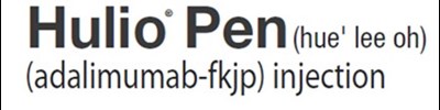 Hulio Pen Logo (Image 03)