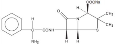 Ampicillin Pbp 01