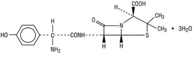 amoxicillin structure - coamoxicillin strc1