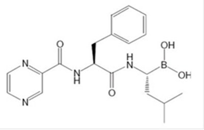 Chemical Structure (Structure)