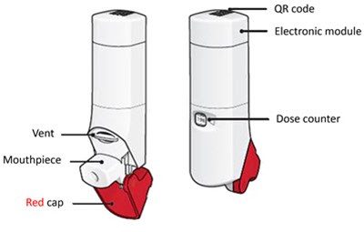 Figure A (Image 5)
