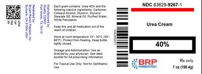 Label - lbl636299267