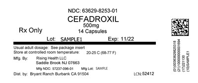 Label (Lbl636298253)