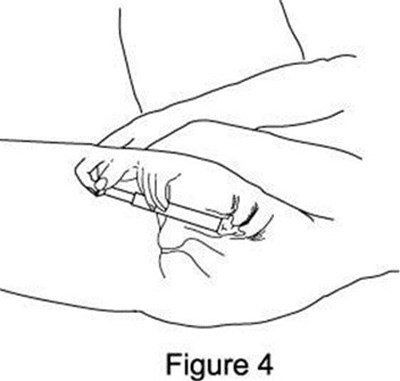 figure4.jpg - figure4