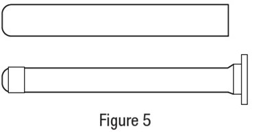 figure5.jpg - figure5