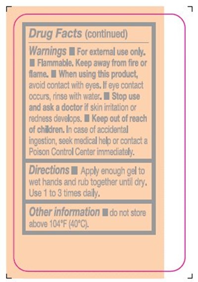 Refreshing Gel Hand Sanitizer Label (Image 04)