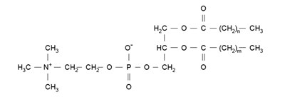 Hspc (Hspc)
