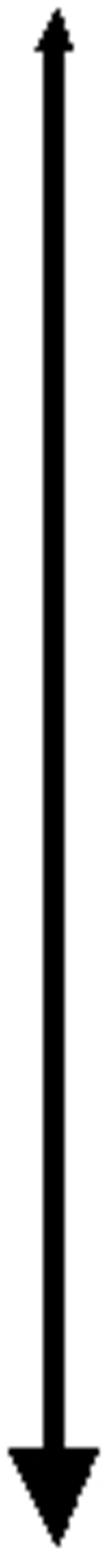 Arrow (07fbc228 393d 404a 8fd5 8667625826a4 04)
