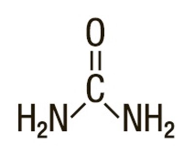 structure.jpg - structure