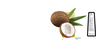Picture (Coconut)