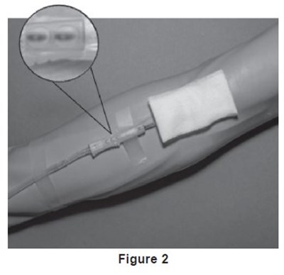 Fig2 (Image 02)