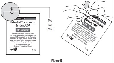 Figure B (D2877798 77ea 4f75 B632 9b16be09042f 05)