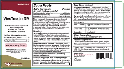 Principal Display Panel (480 mL Bottle Label)