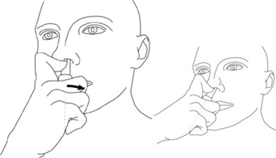 Figure D (Nat07 0000 09)