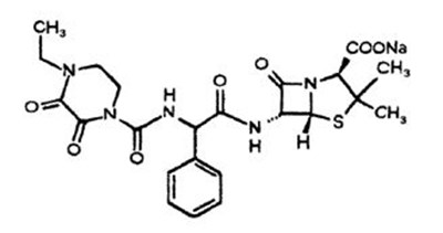 Pip1 (Pip1)
