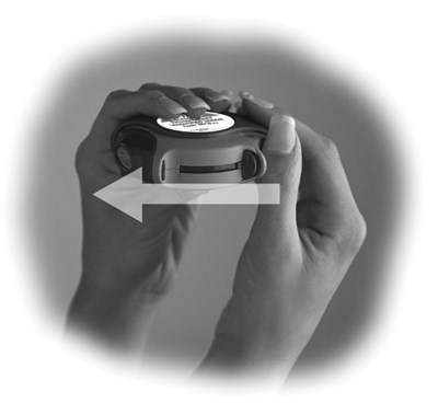 Figure F - fp sal spl graphic 13