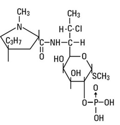 Structure (Structure)