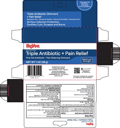 679 2h Triple Antibiotic Pain Relief