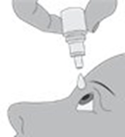 Step 4. (Image 07)