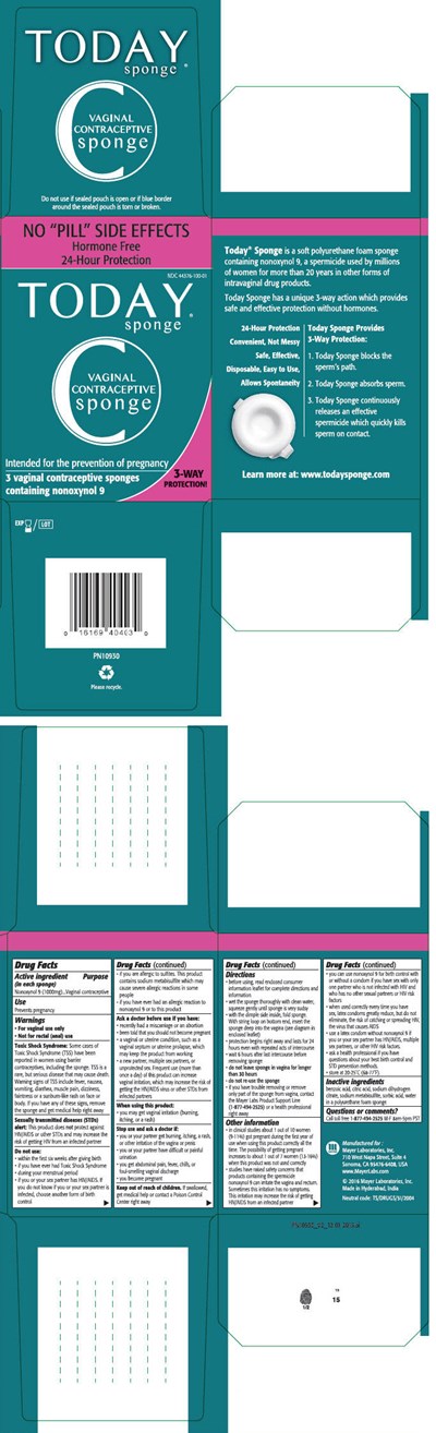 today-17.jpg Principal Display Panel - 3 Sponge Pouch Box - today 17