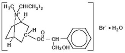 Chemical Structure (Ipratropium 01)