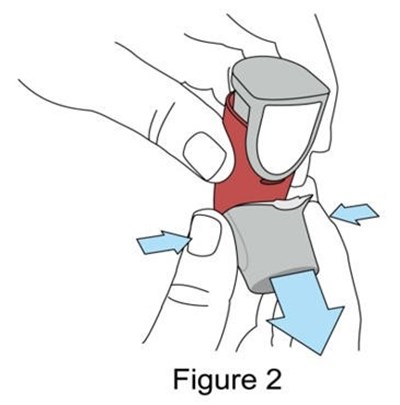 Figure 2 (Image 04)