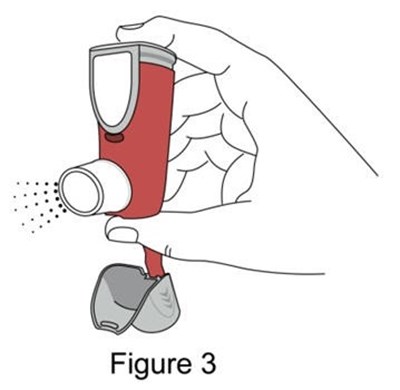 Figure 3 (Image 05)