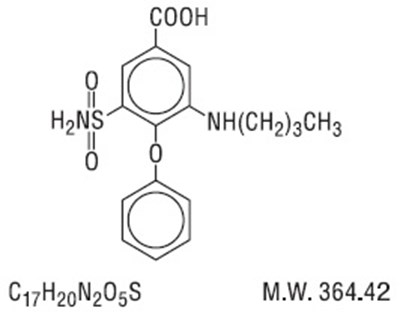 138f8bdd-34a5-49c6-832f-0d343aa95c7b-01.jpg structure - 138f8bdd 34a5 49c6 832f 0d343aa95c7b 01